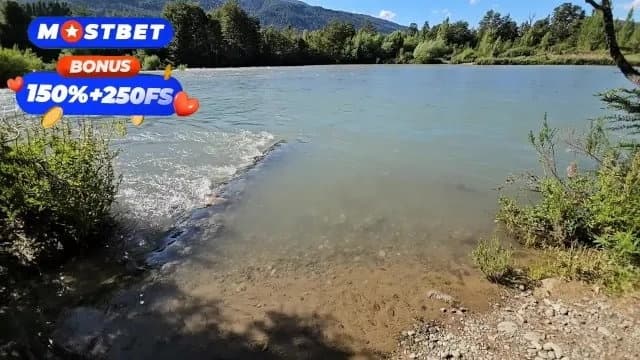 Mamada Al Aire Libre con Final Épico y Creampie Anal Intenso