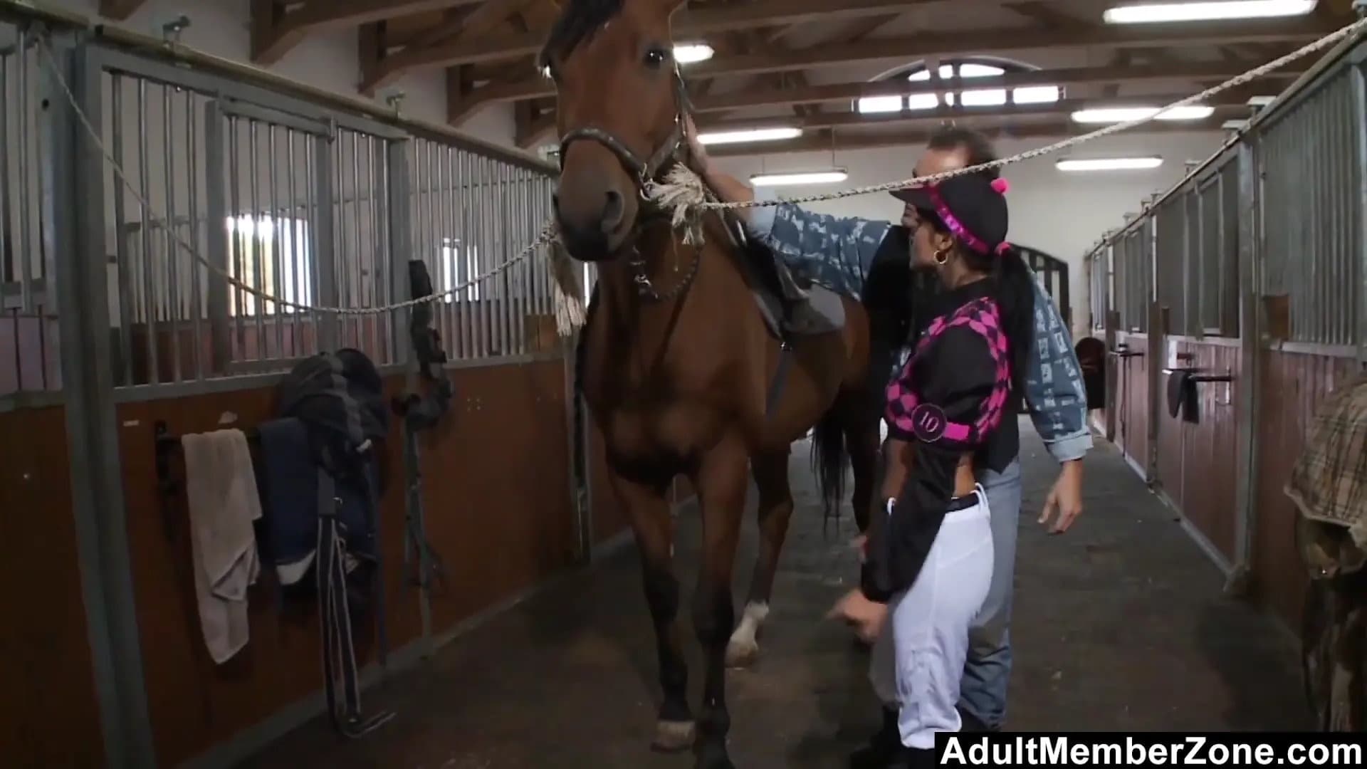 Horse Rider Gets Boned