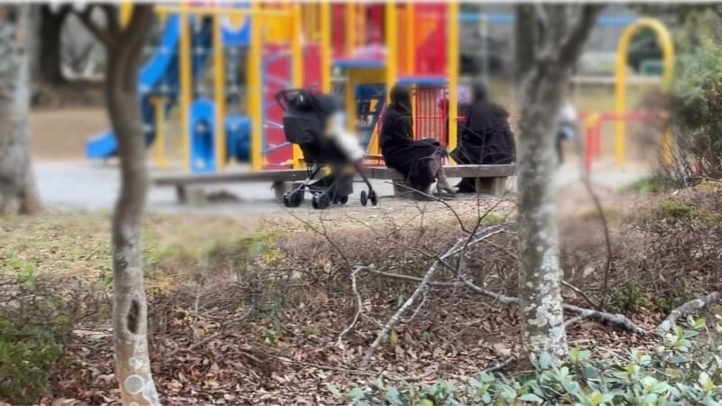 FC2-PPV-4821039 [Individual] Influencer's Wife Enticed in Park & Car